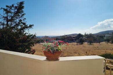 DETACHED HOUSE - suitable for 2 families