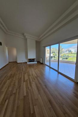 PENTHOUSE APARTMENT VOULA